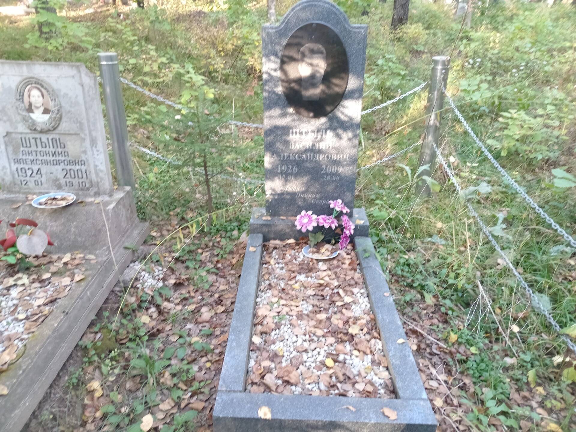 Штыль Василий Александрович