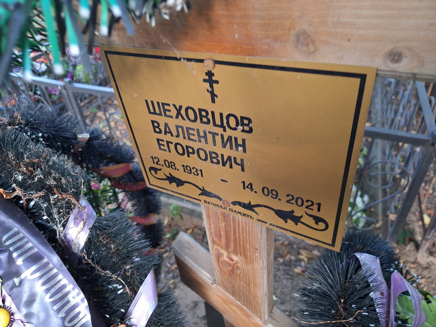 Шеховцов
