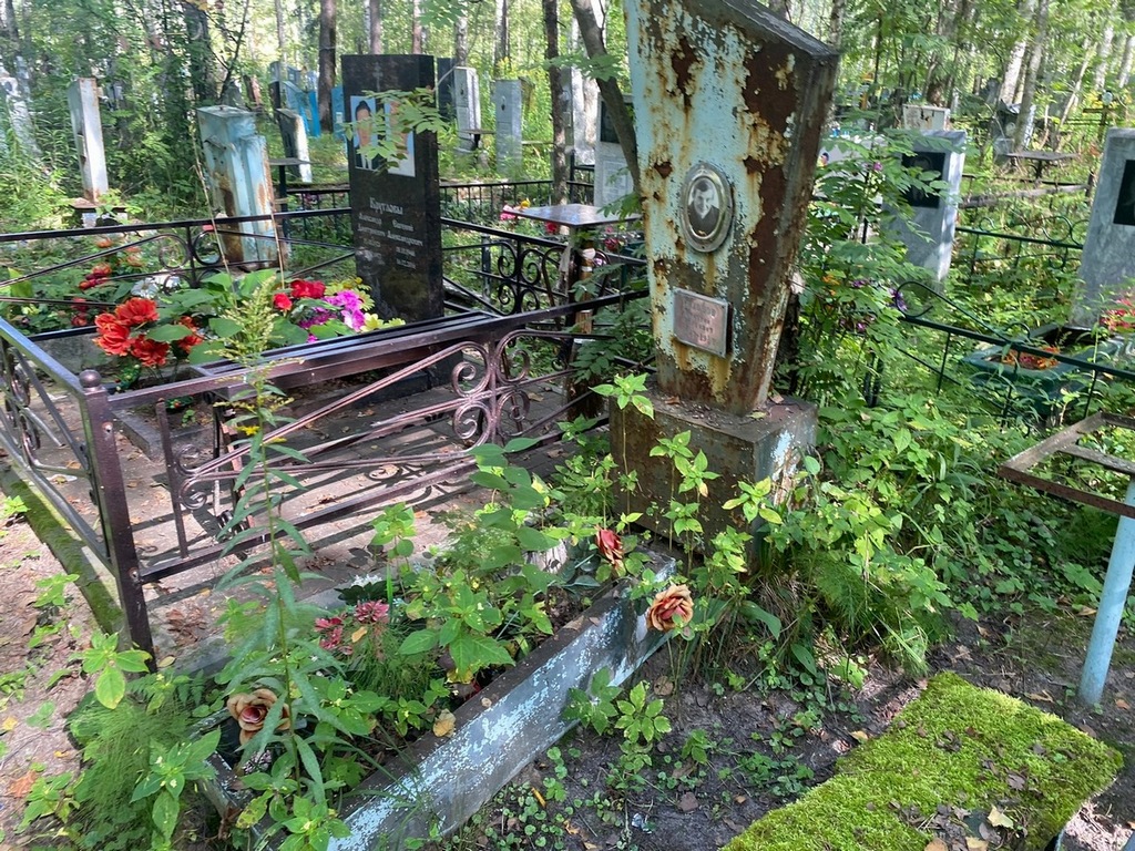 Тихонов Дмитрий Фадеевич