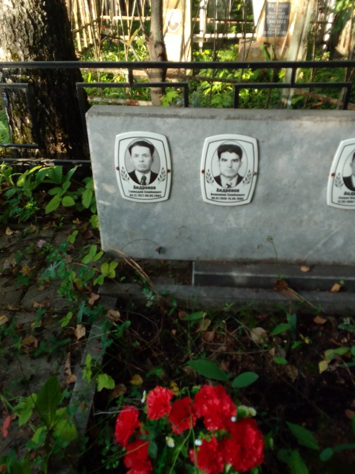 Андронова Екатерина Григорьевна