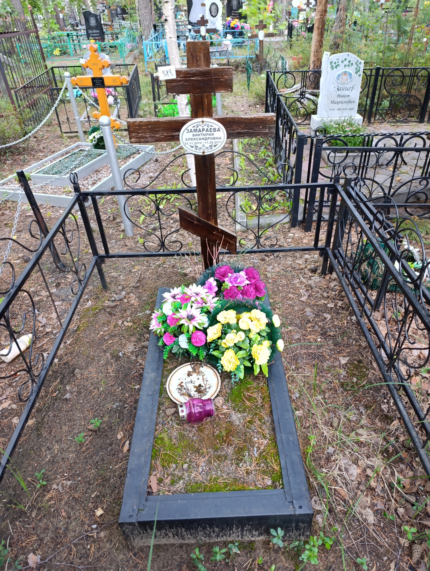 Замараева Виктория Александровна