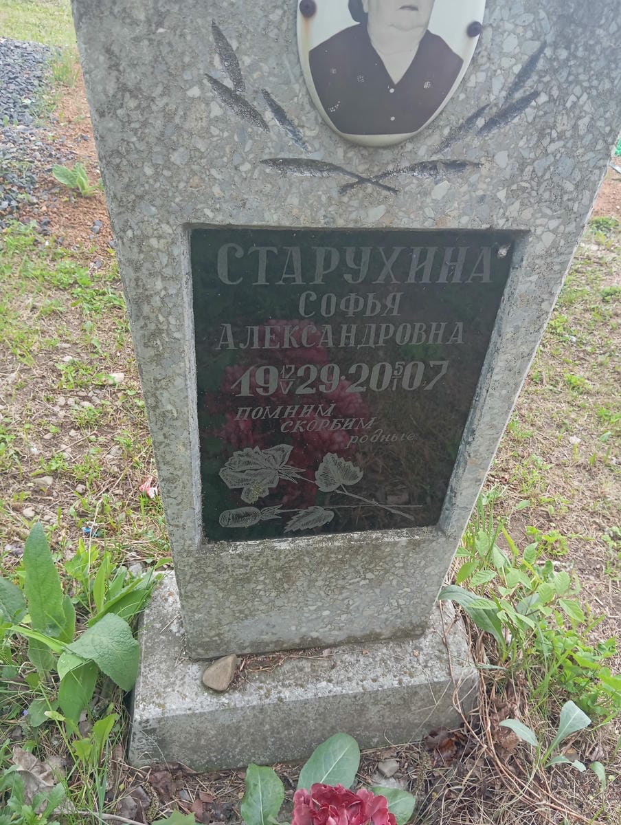 Старухина Софья Александровна