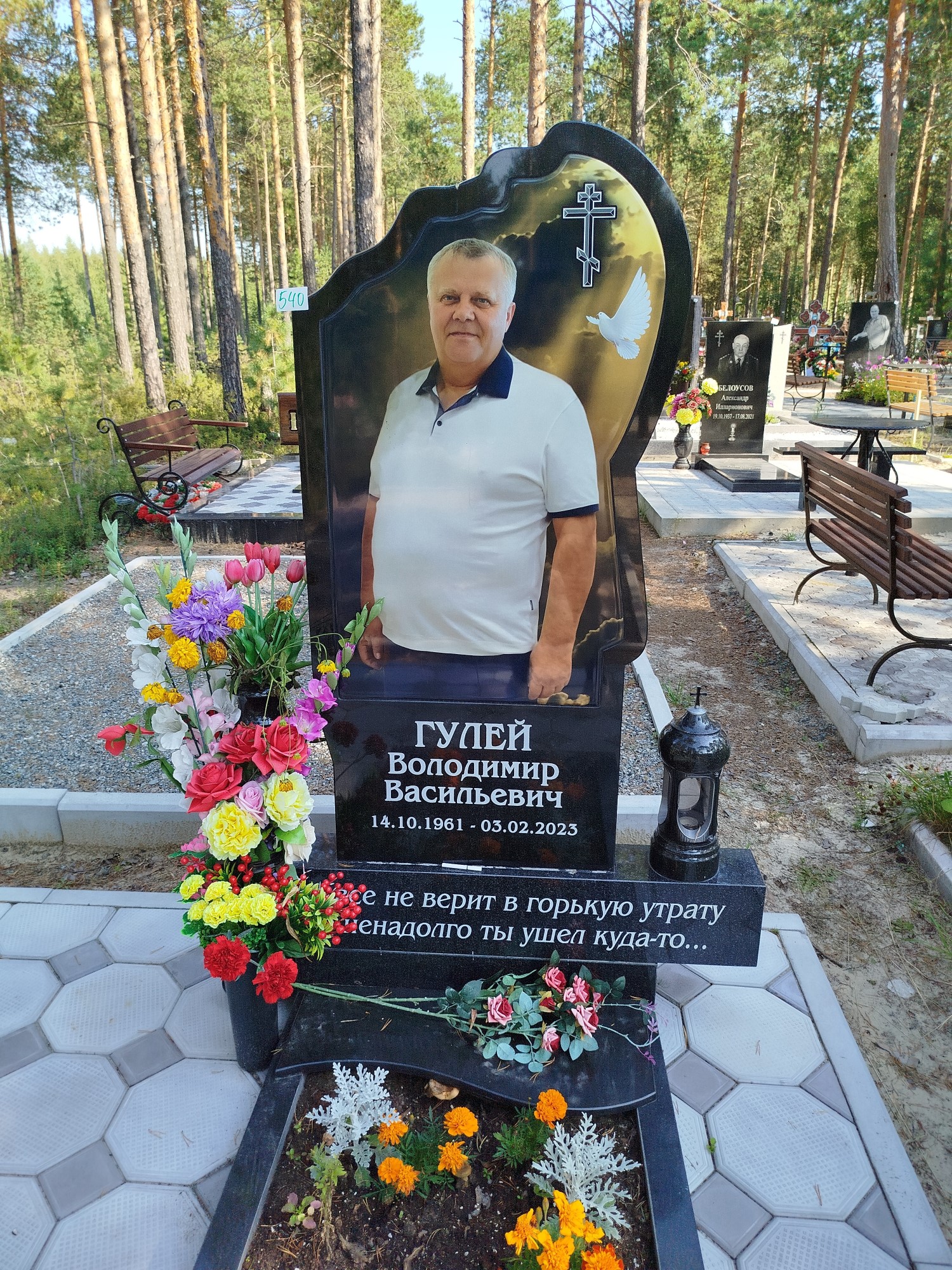 Гулей Володимир Васильевич