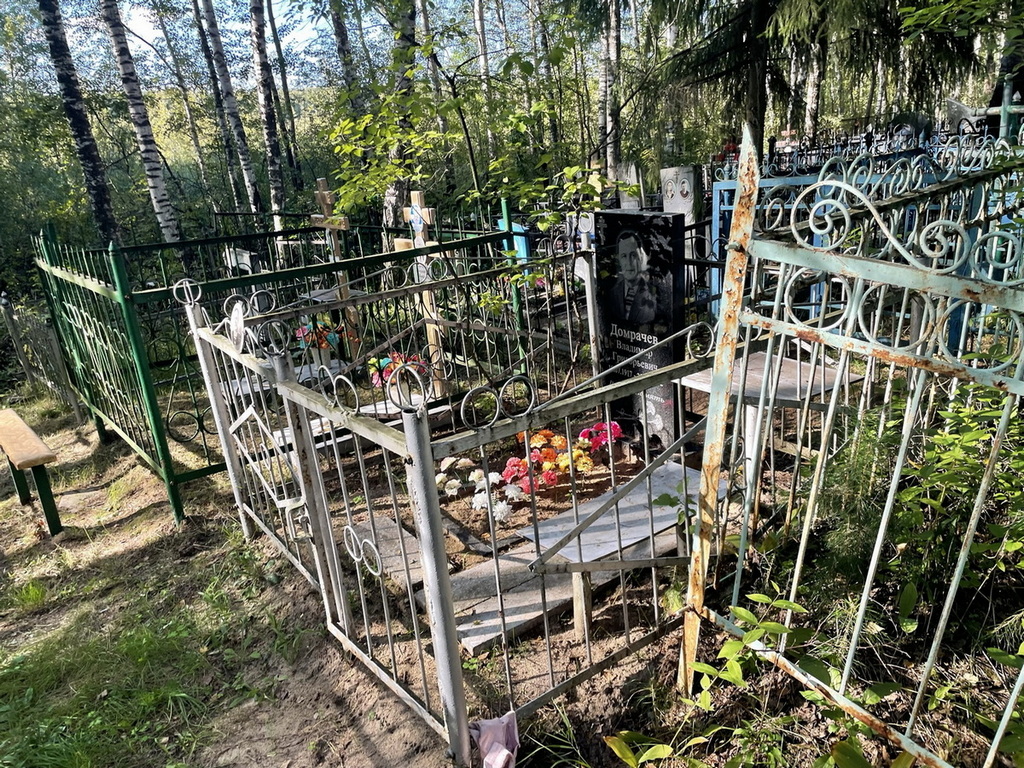 Домрачев Владимир Григорьевич