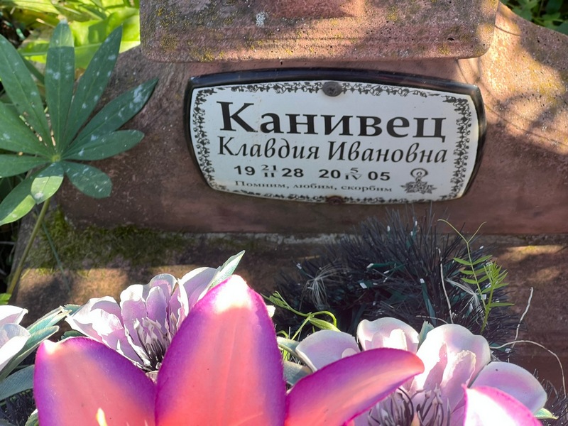 Канивец