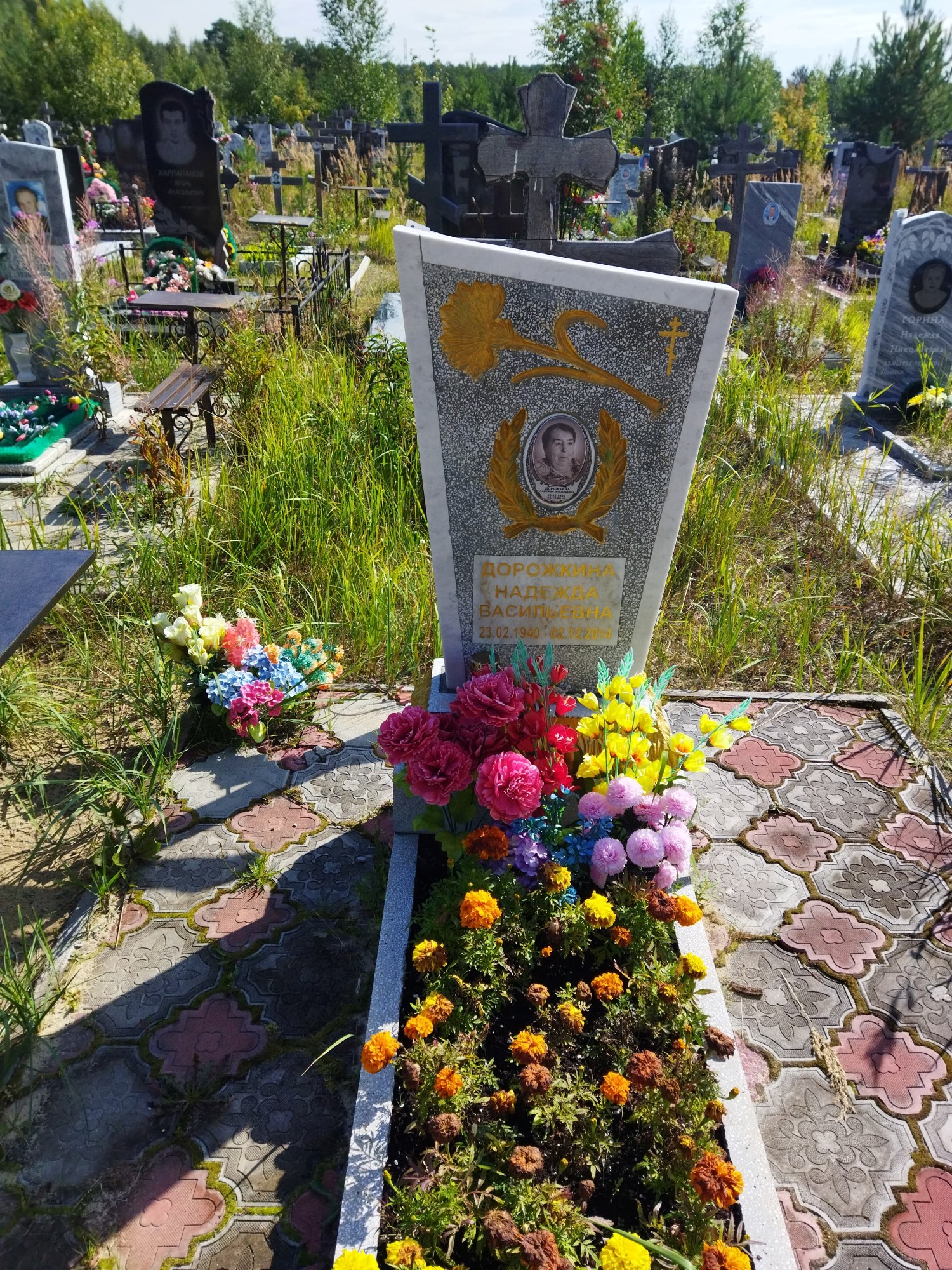 Дорожкина Надежда Васильевна