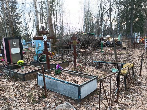 Ковалёв Александр Александрович