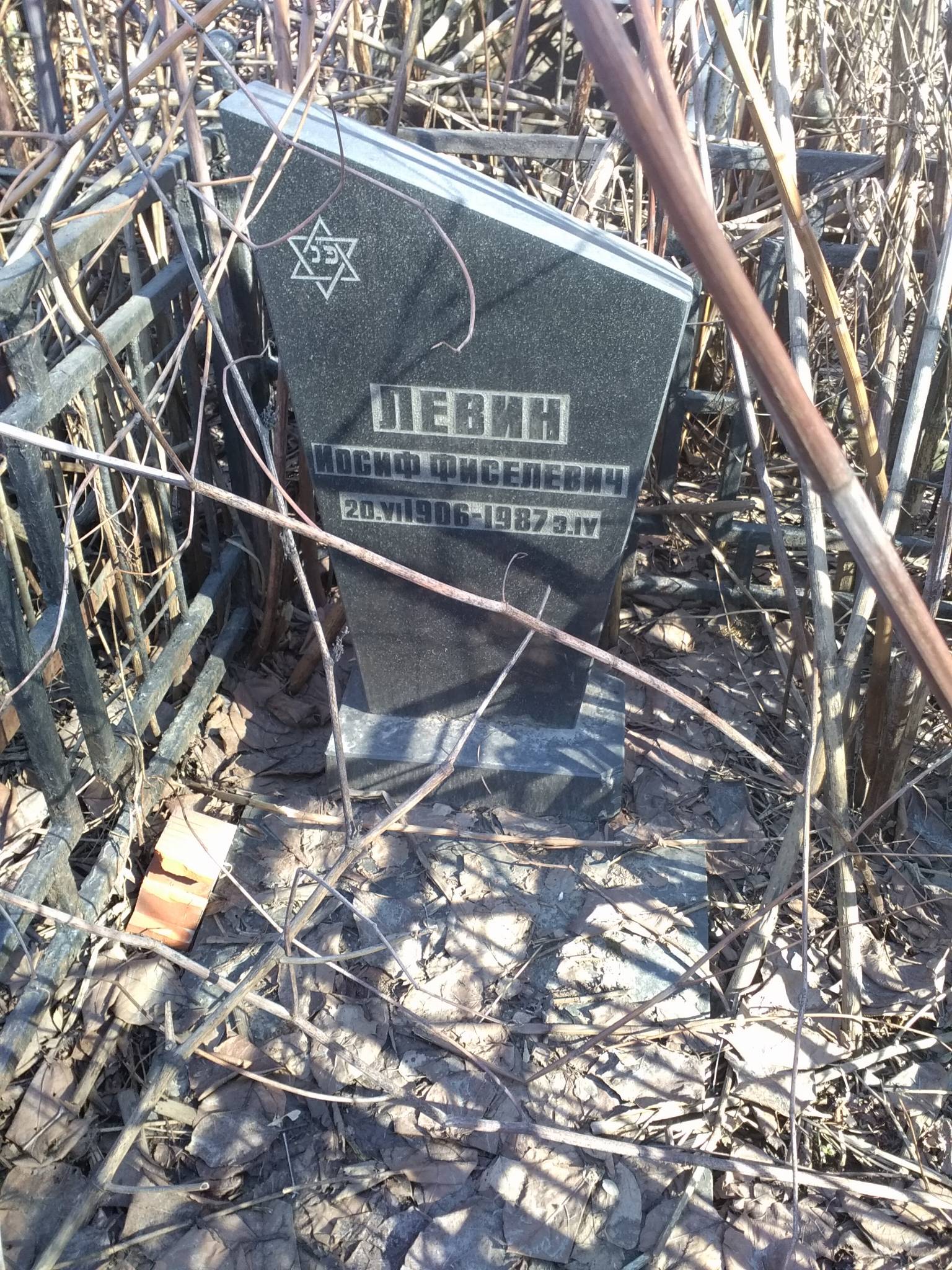 Левин Иосиф Фиселевич