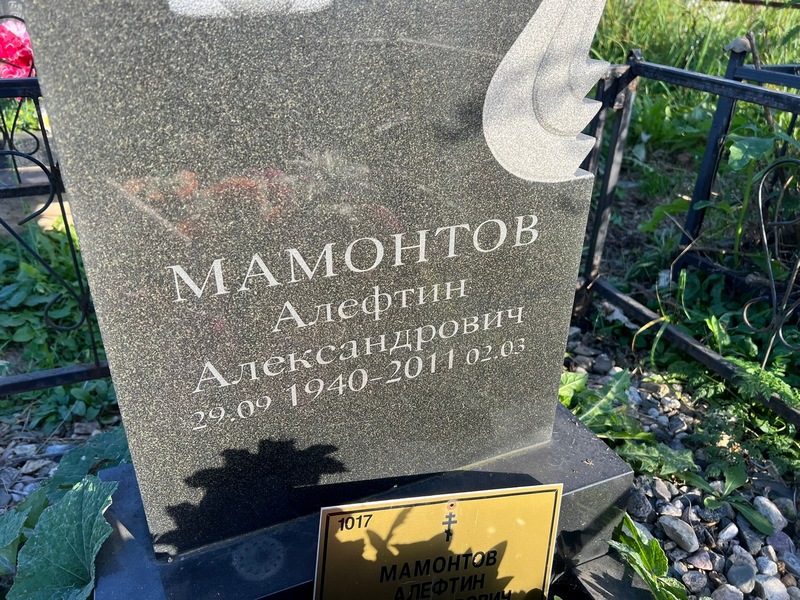 Алефтин Мамонтов Александрович