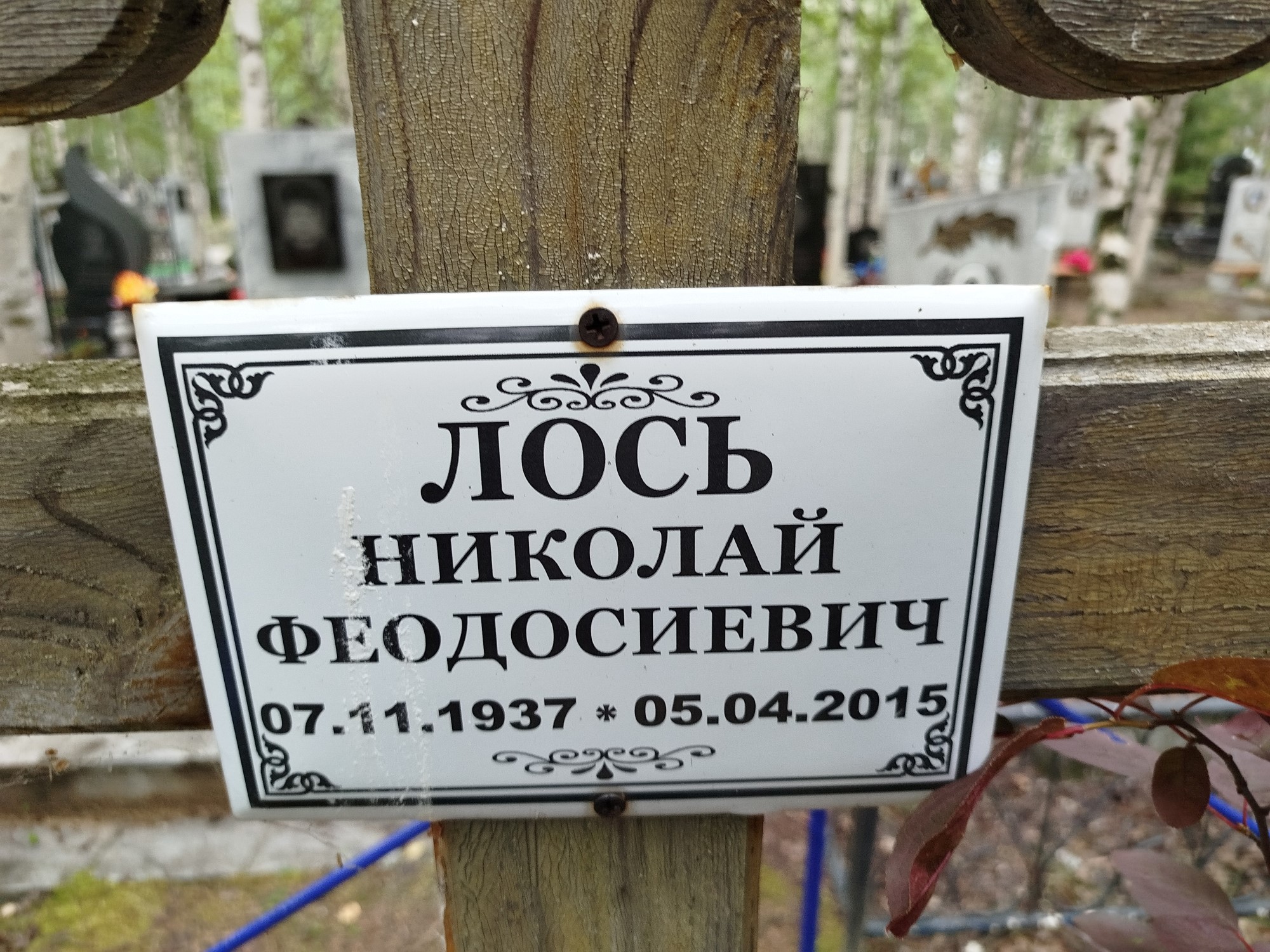 Лось Николай Феодосиевич