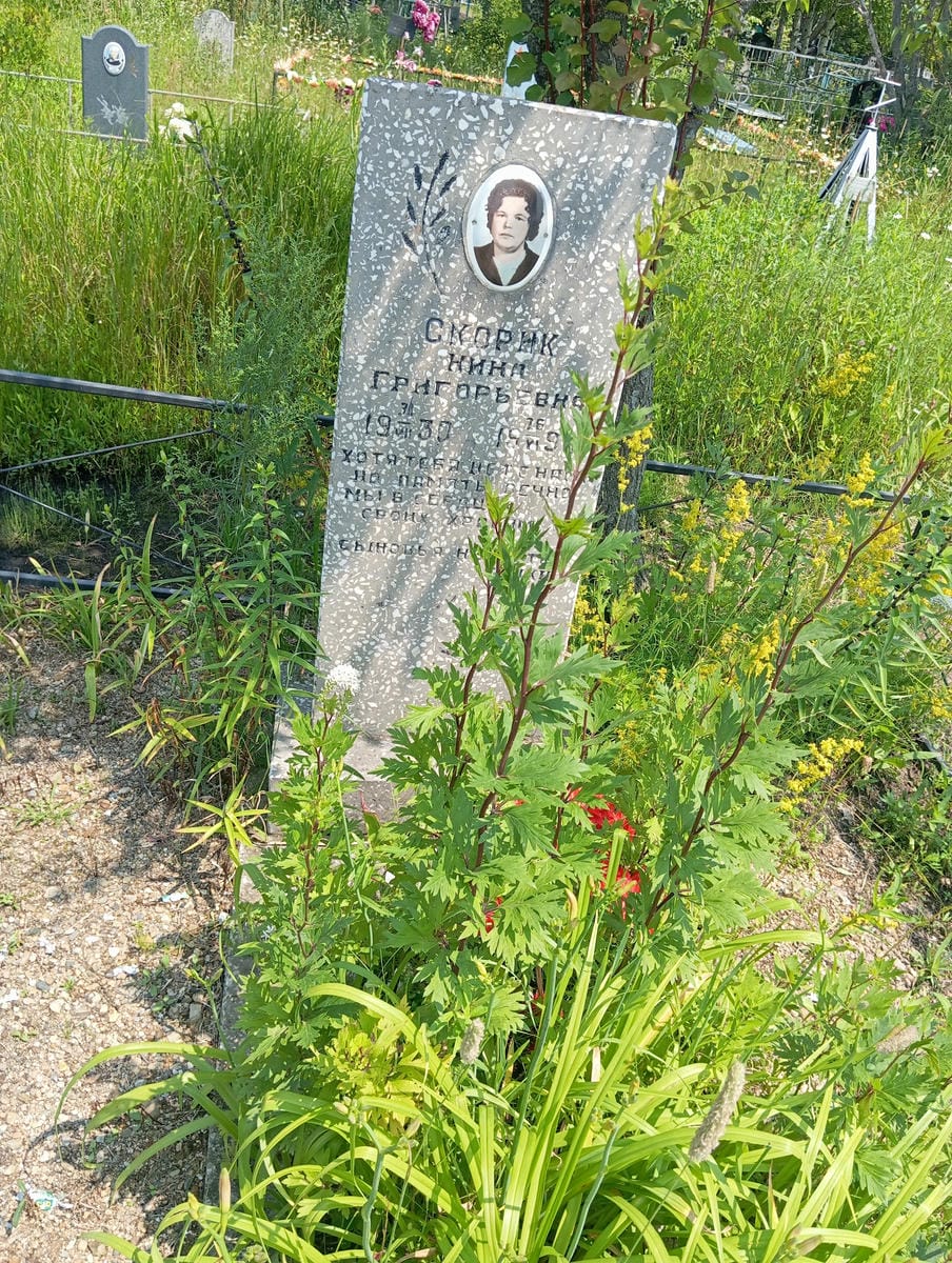 Скорик Нина Григорьевна