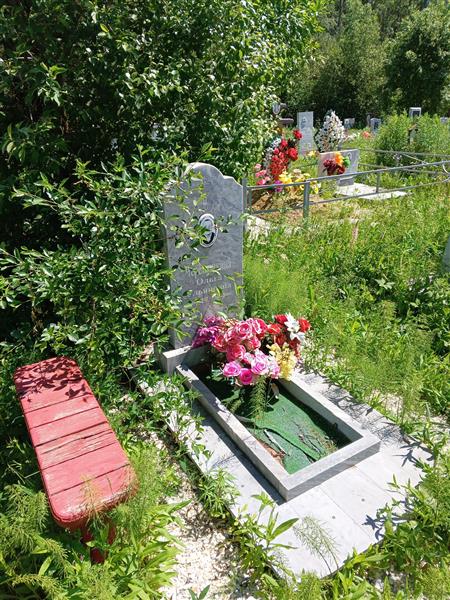 Черёмушкина Ольга Ульяновна