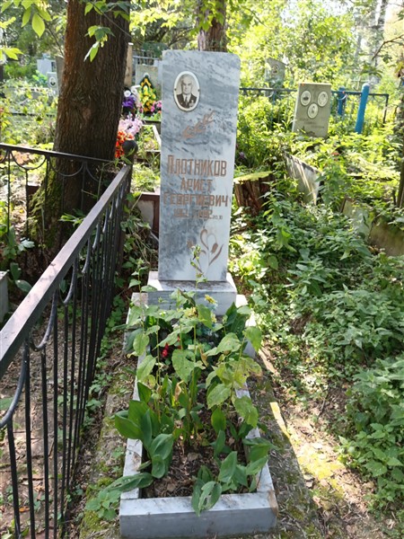 Плотников Арист Георгиевич