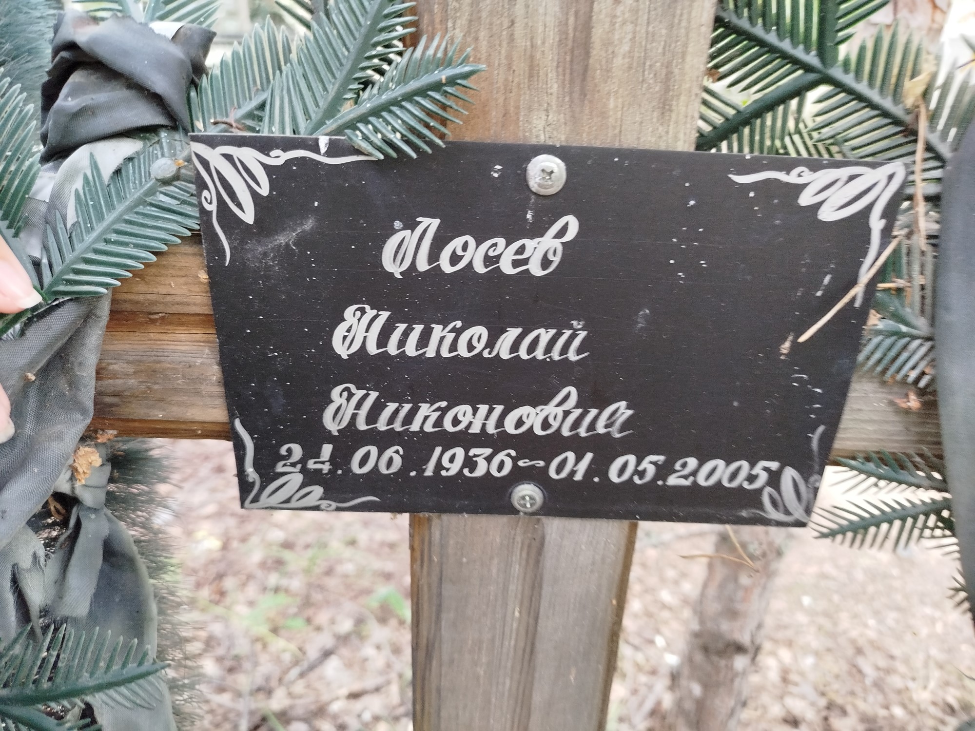 Лосев Николай Никонович