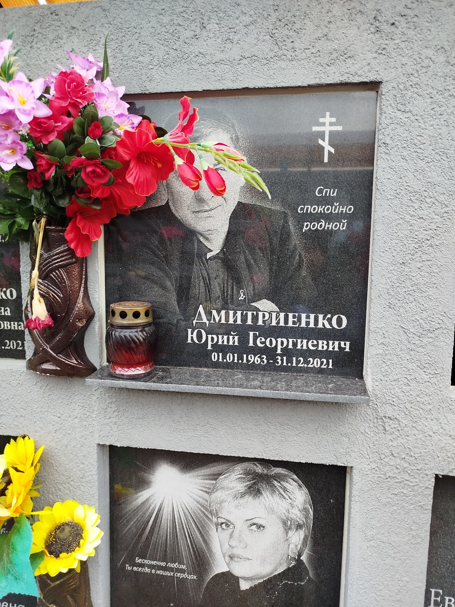 Дмитриенко Юрий Георгиевна