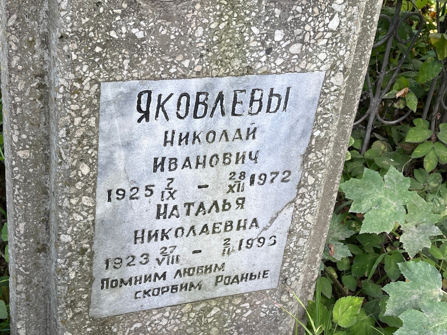 Яковлев