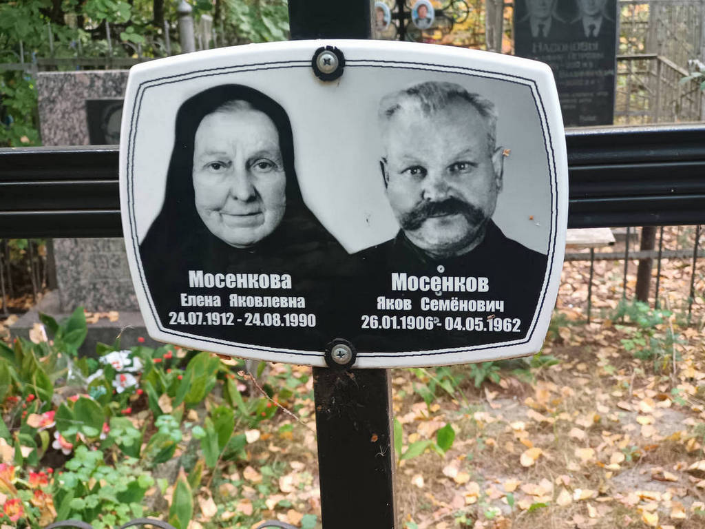 Мосенкова Елена Яковлевна