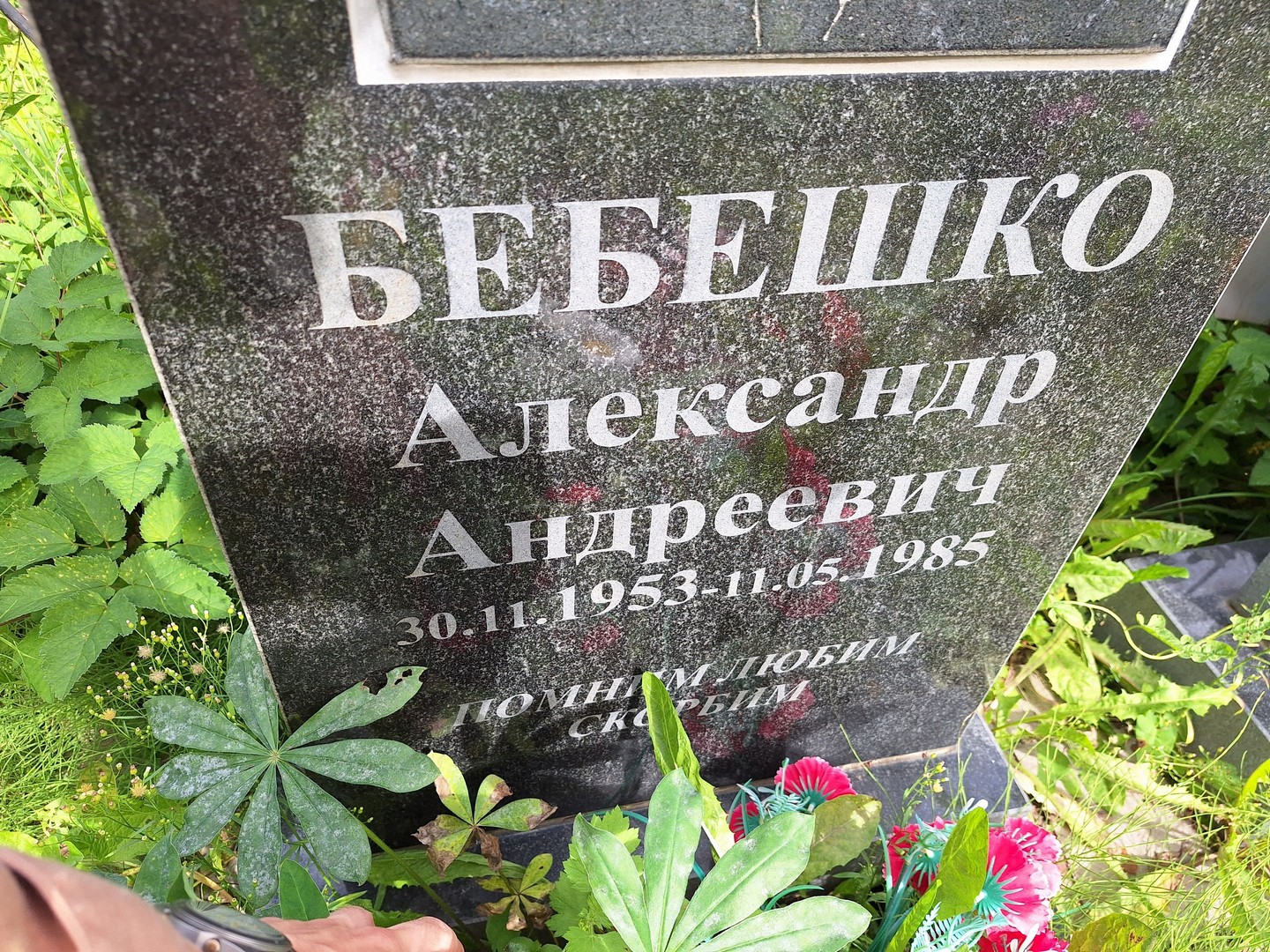 Бебешко