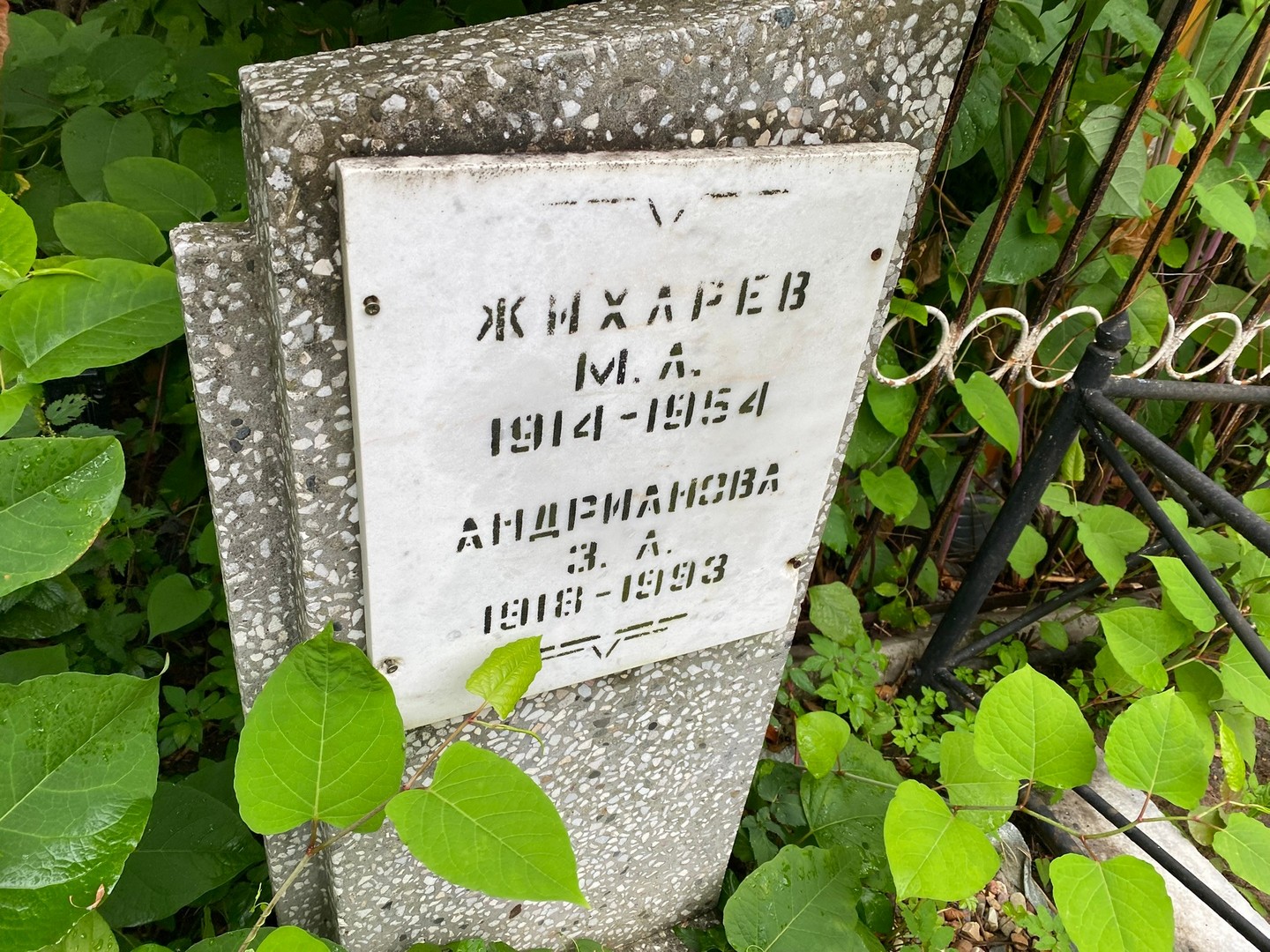 М Жихарев А