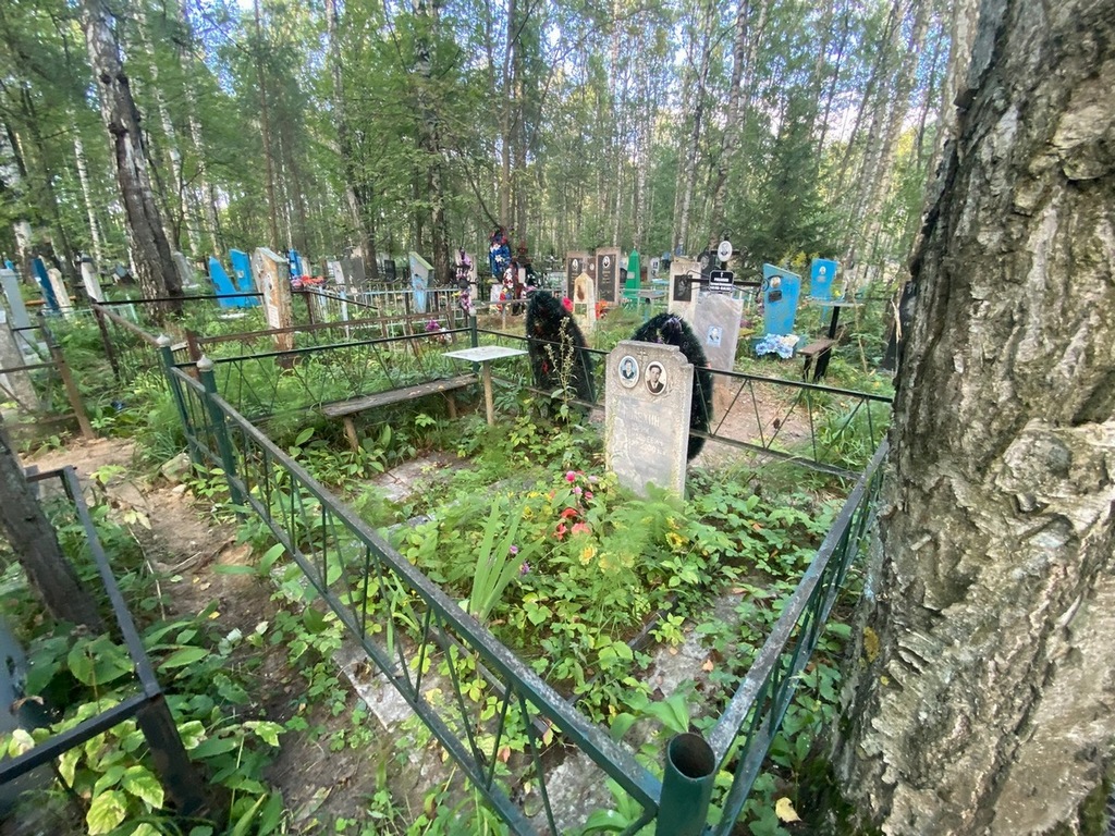 Полехин Юрий Афанасьевич