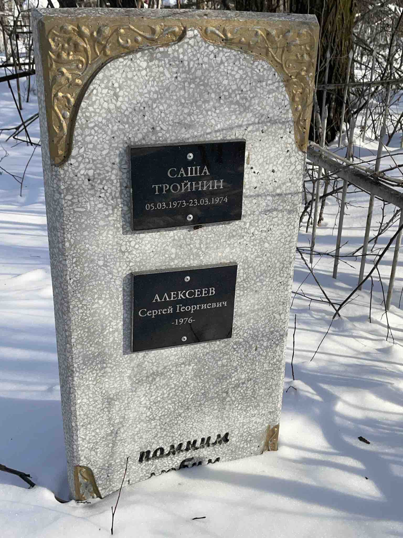 Тройнин Саша