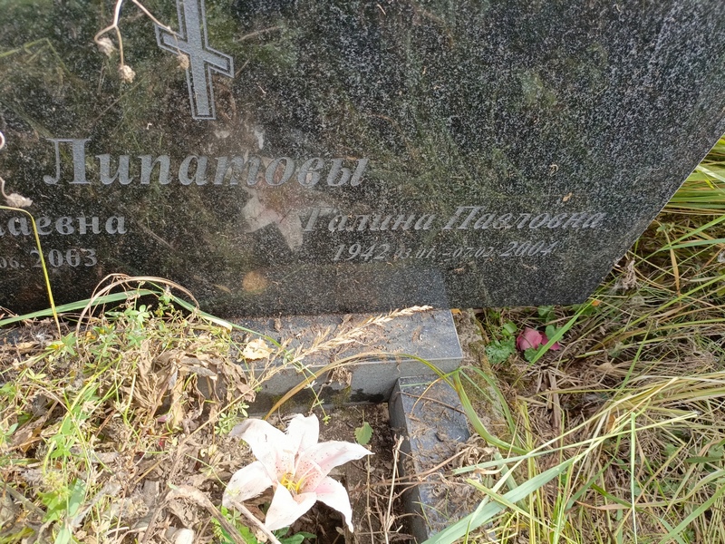 Липатова
