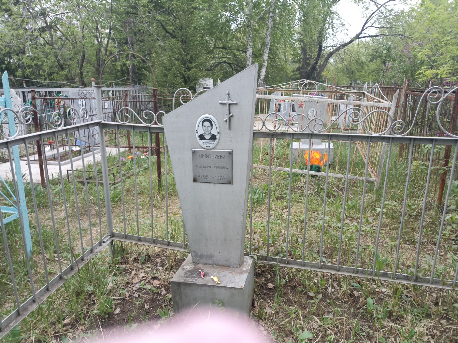 Дмитриева Анастасия Ивановна