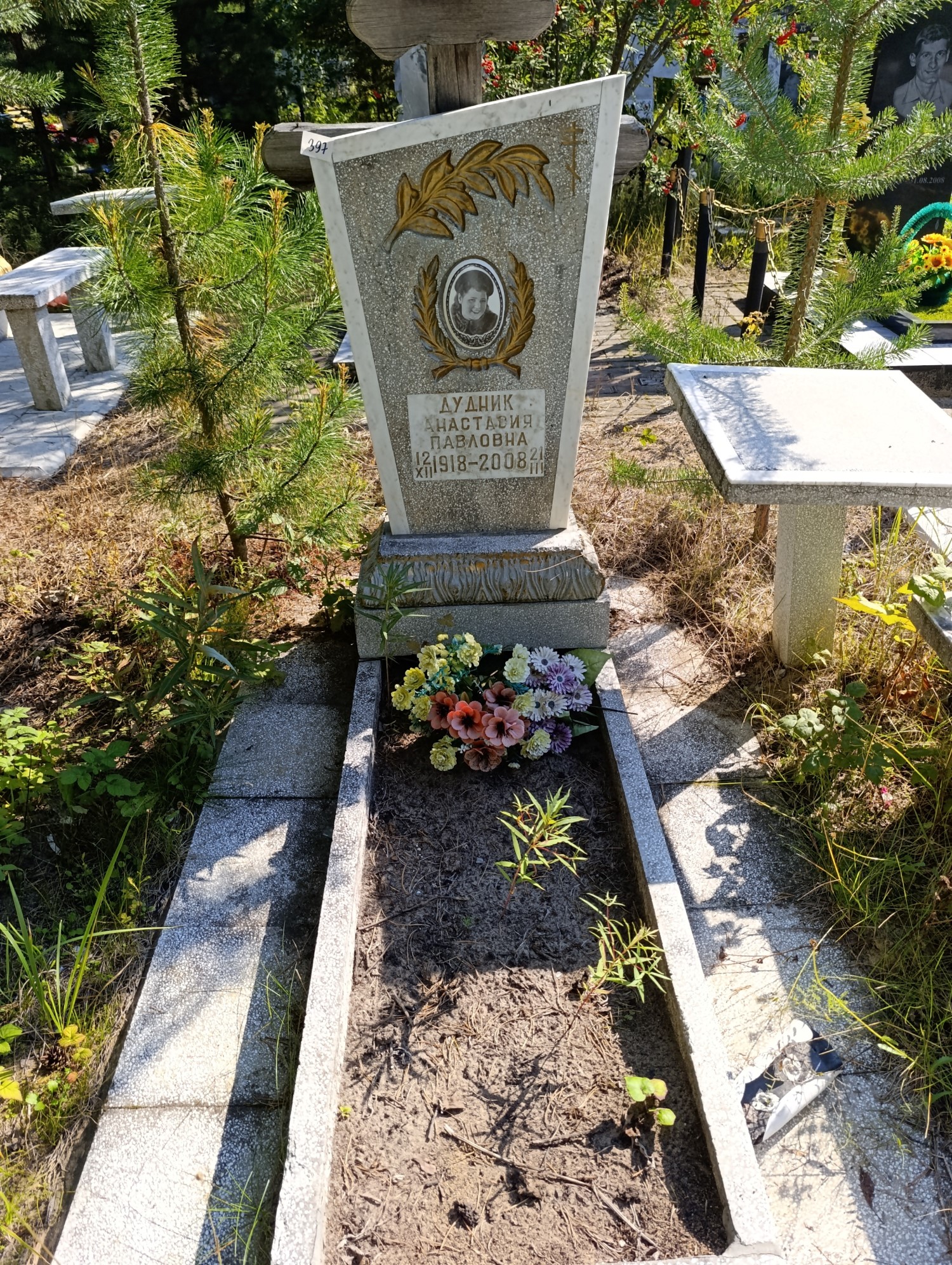 Дудник Анастасия Павловна