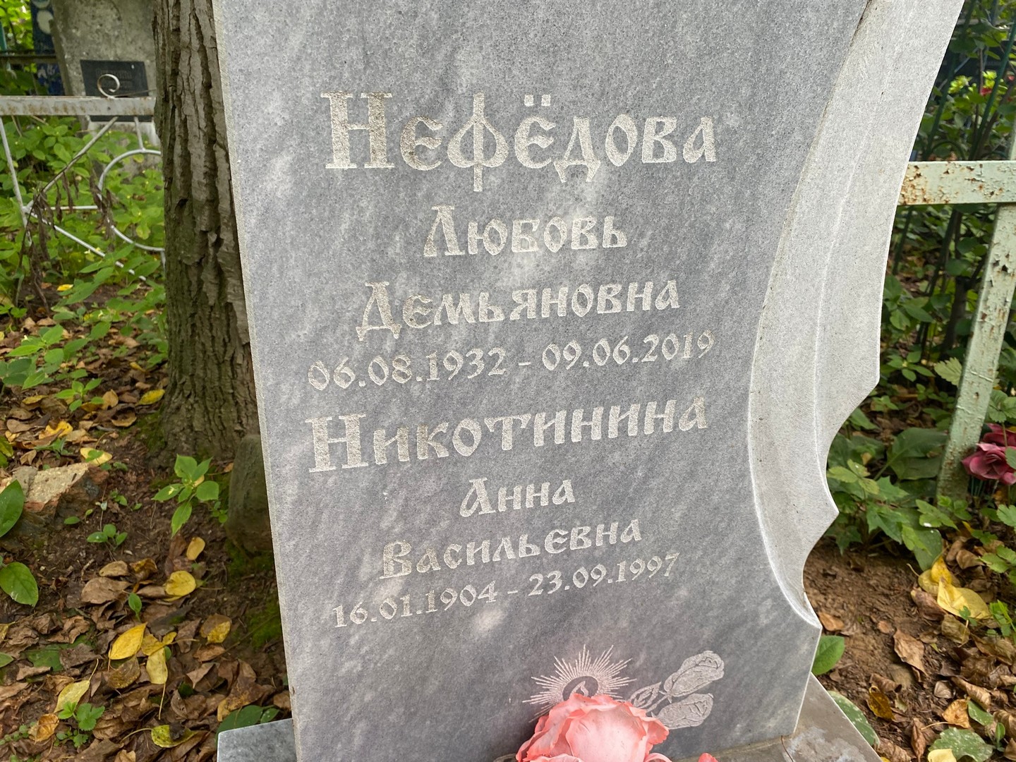 Нефедова