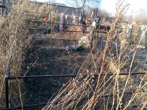 Дмитриева Зинаида Ивановна