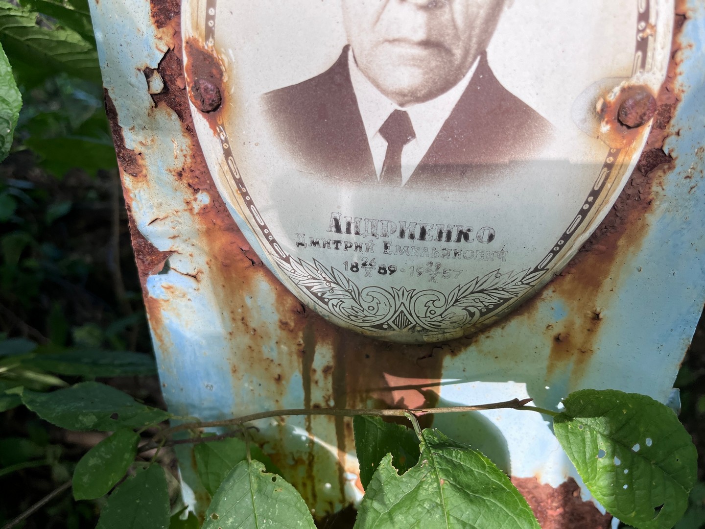 Андриенко