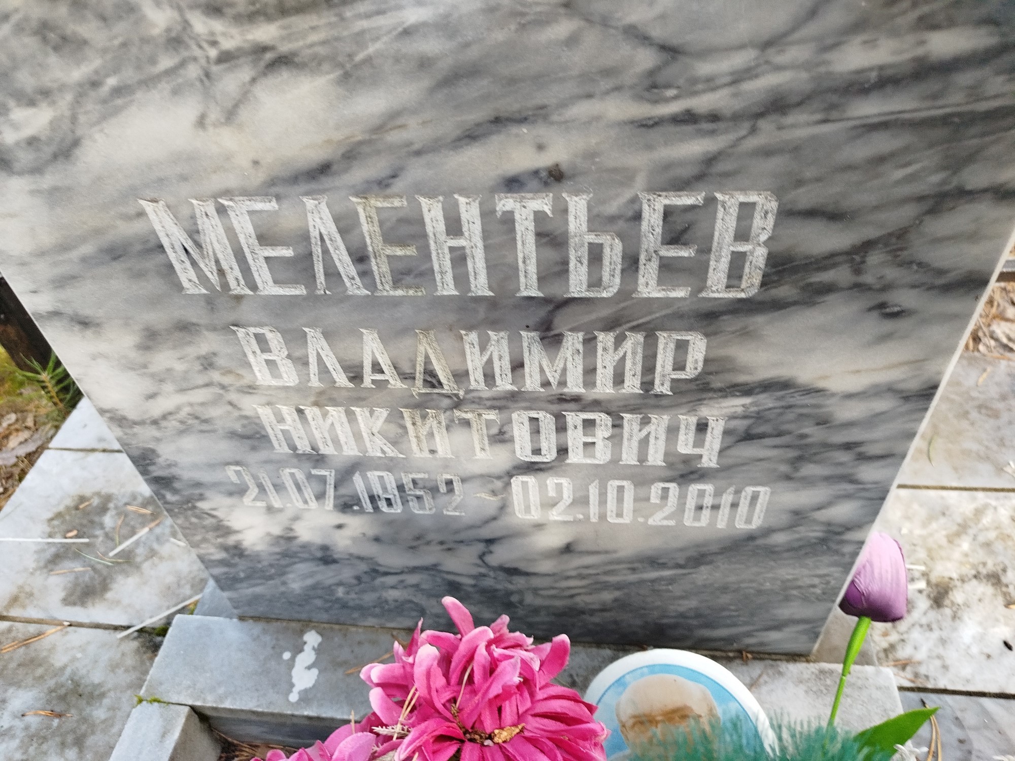 Мелентьев Владимир Никитович