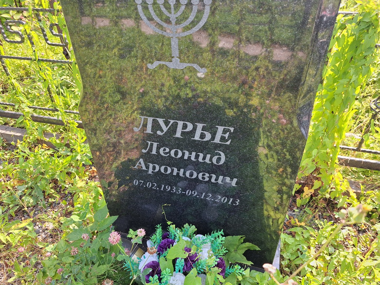 Лурье