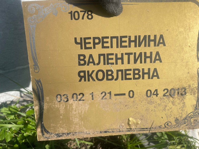 Черепенина