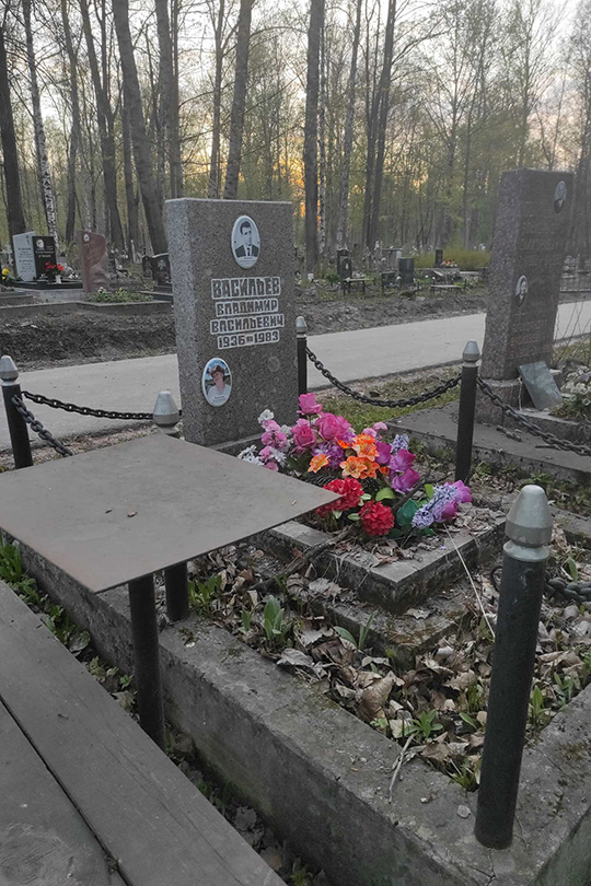Васильев Владимир Васильевич