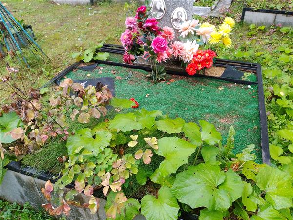 Пепеляев Анатолий Николаевич