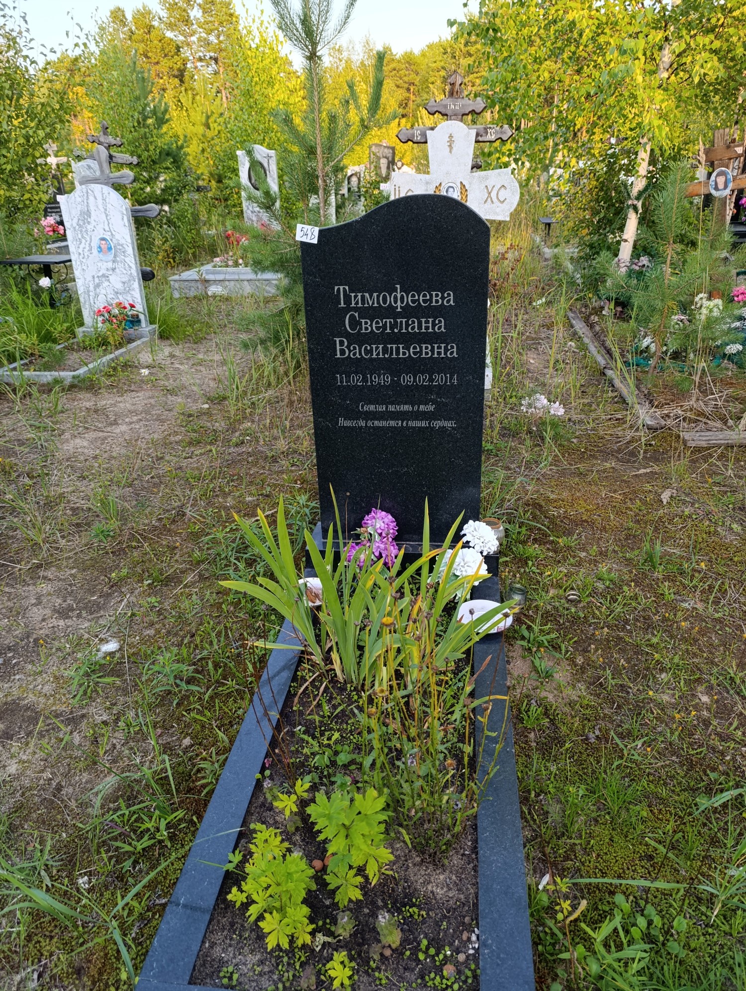 Тимофеева Светлана Васильевна