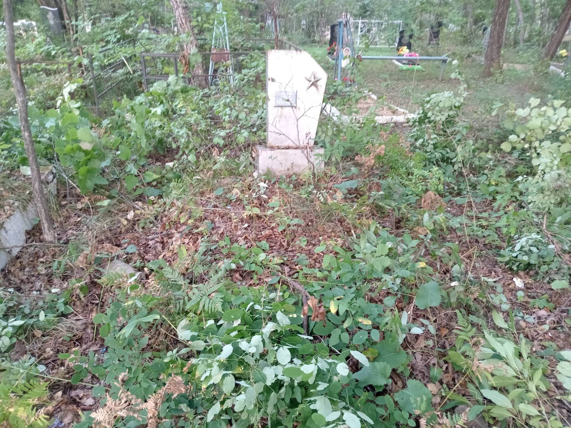 Кокарева Клавдия Алексеевна