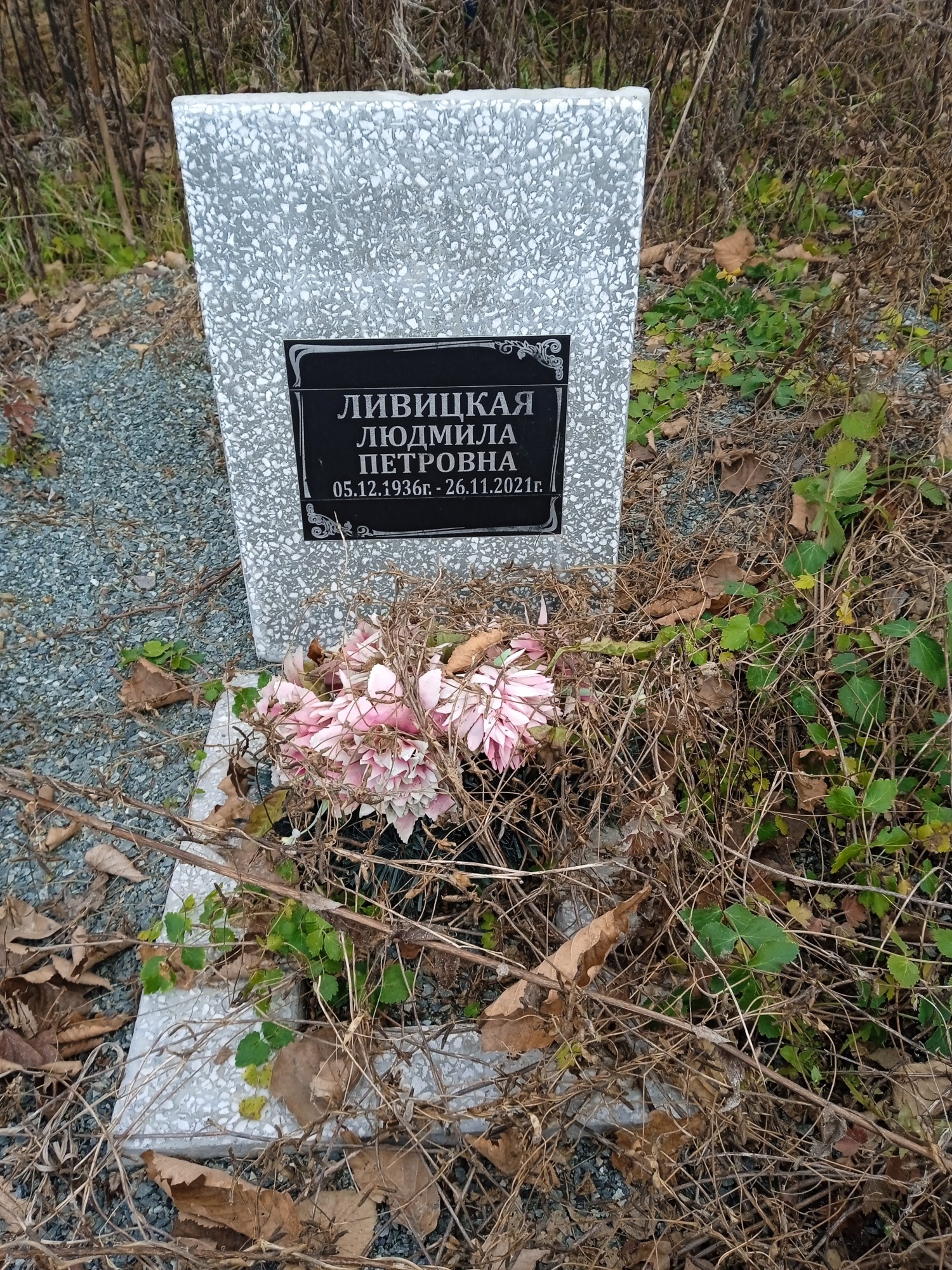 Ливицкая Людмила Петровна
