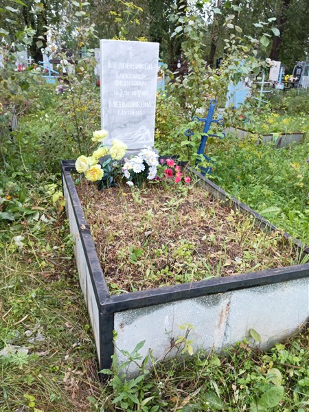 Медовщиков Александр Федулович