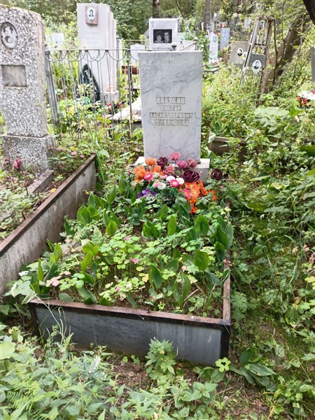 Поляков Виктор Александрович