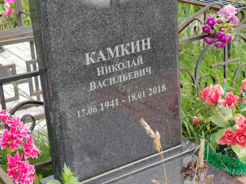 Камкин