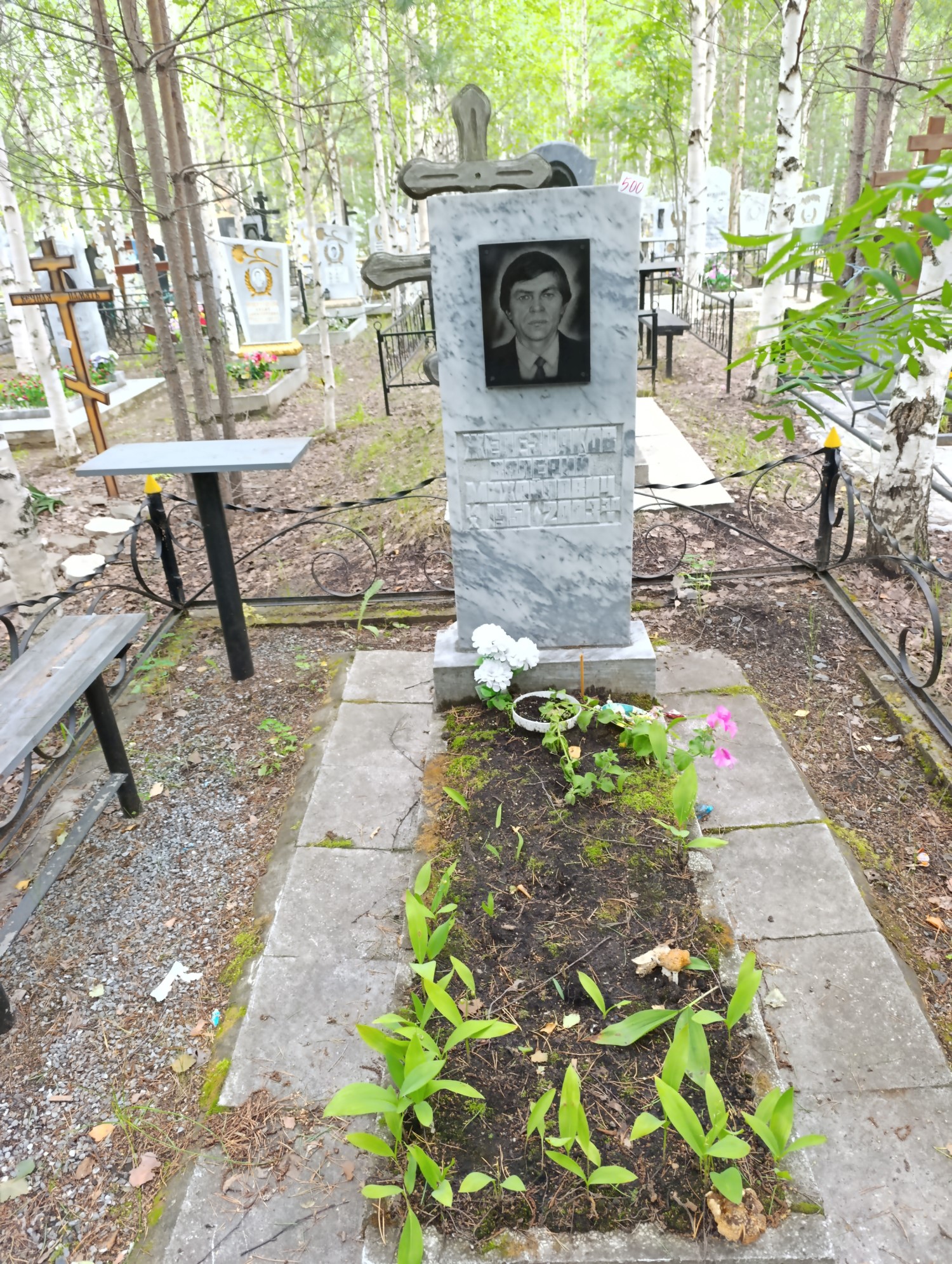 Железняков Валерий Михайлович