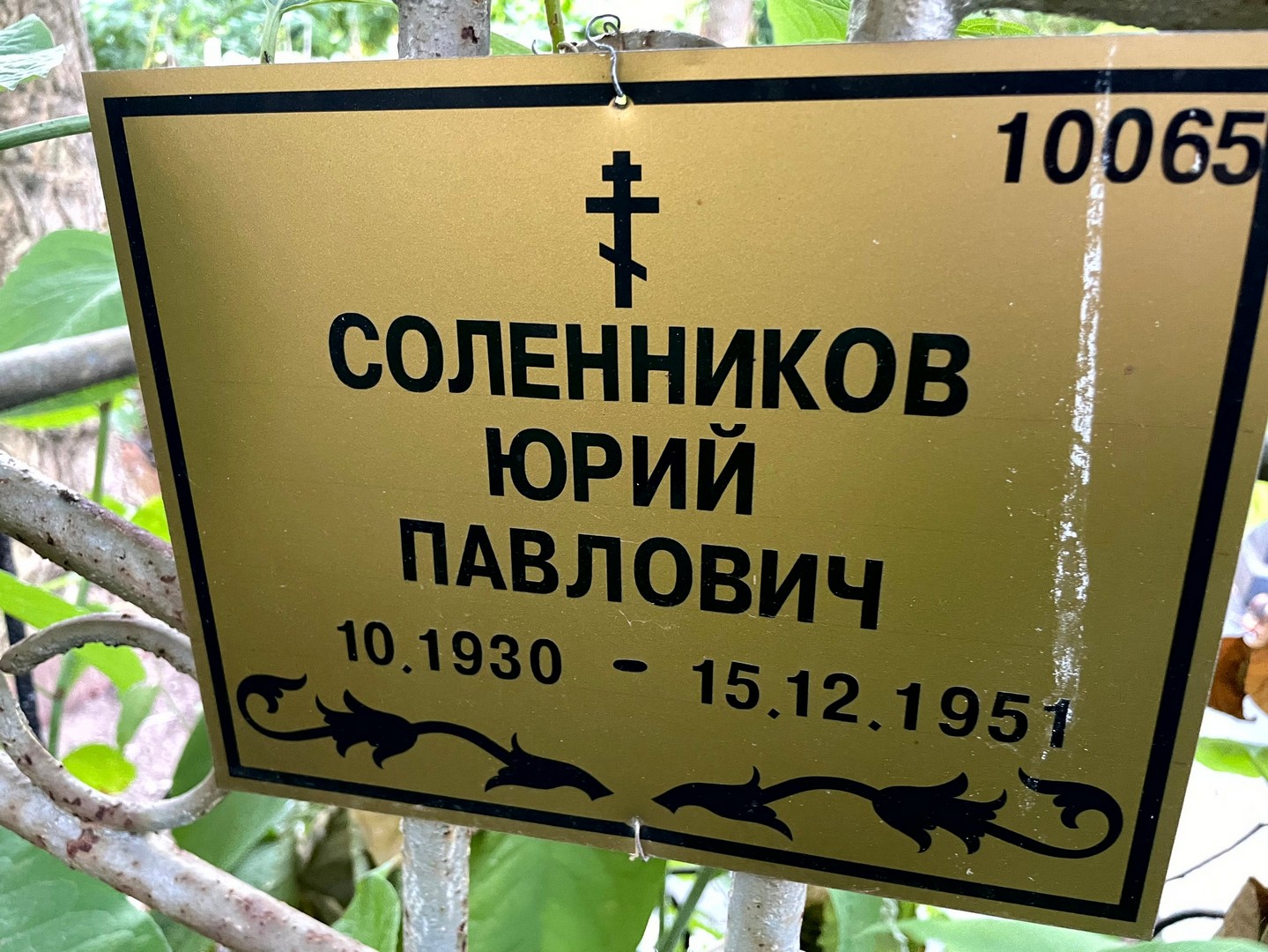 Соленников