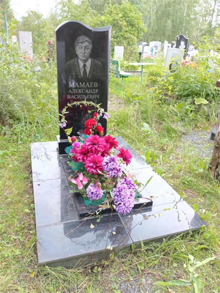 Мамаев Александр Васильевич