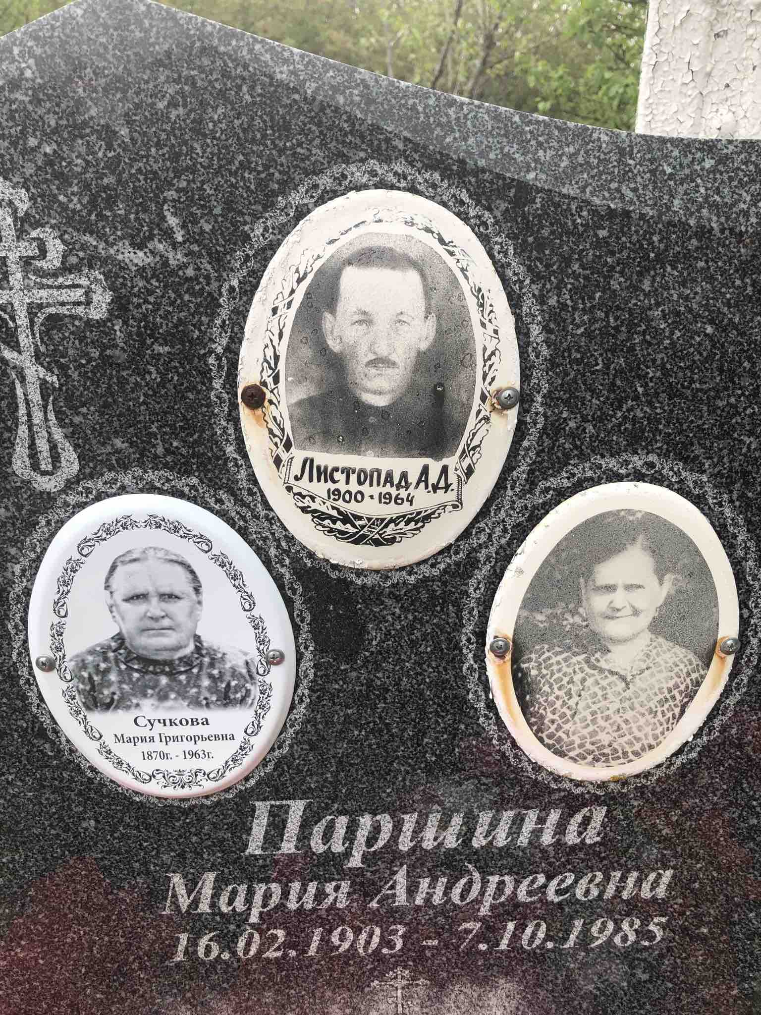Паршина Мария Андреевна
