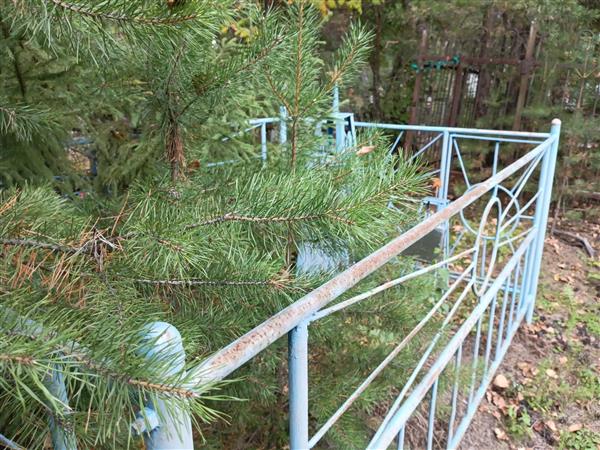 Безбородов Максим Николаевич