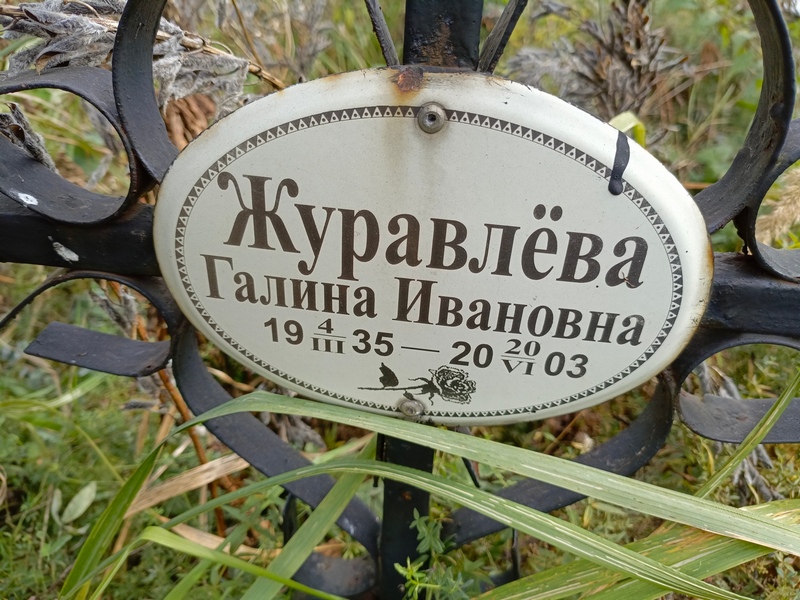 Журавлева