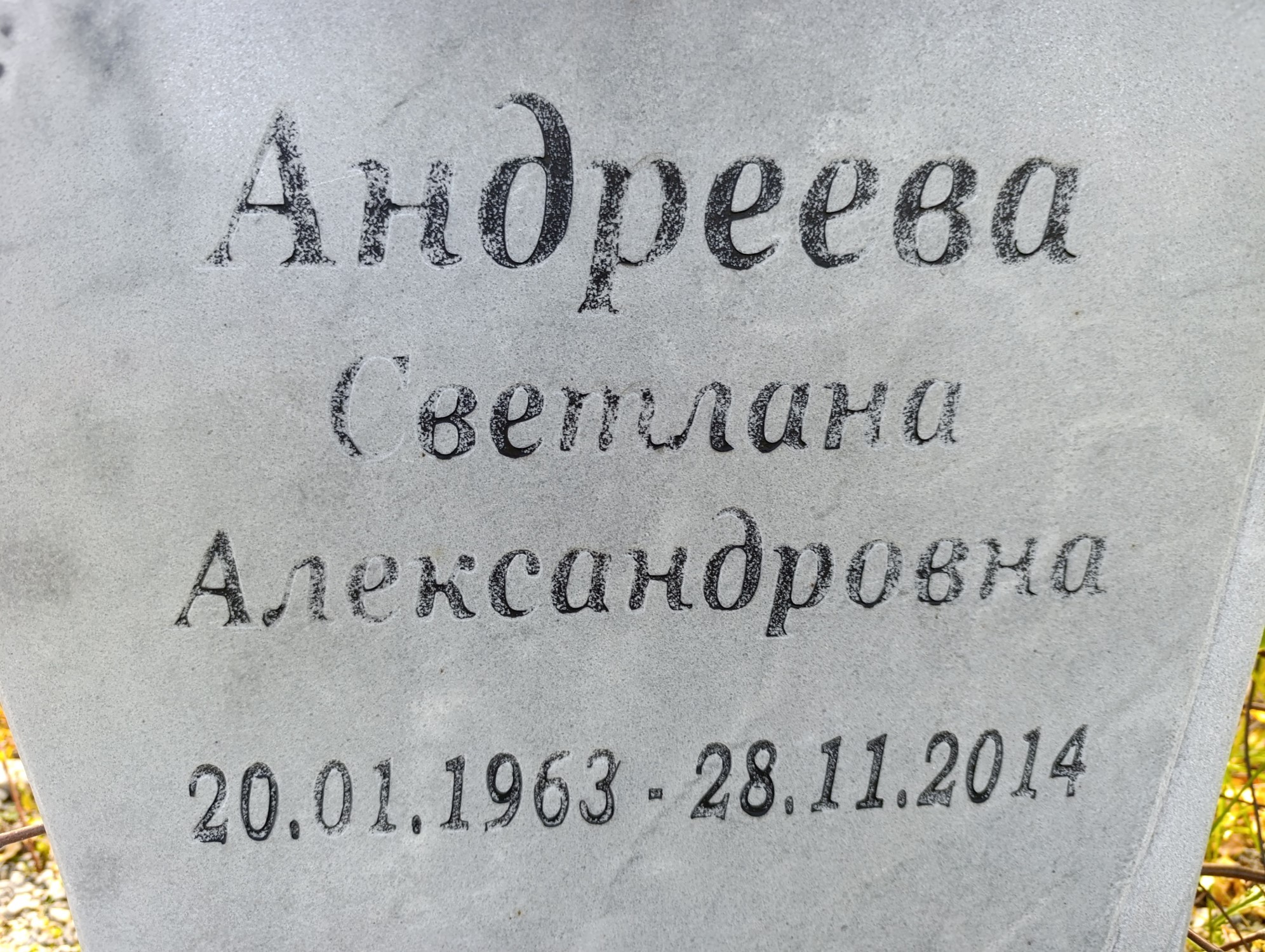 Андреева Светлана Александровна