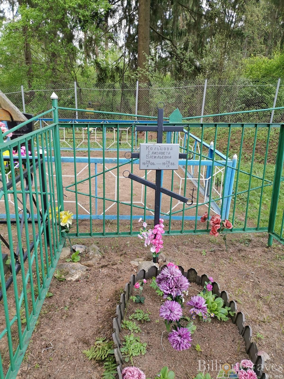 Кольцова Елизавета Васильевна